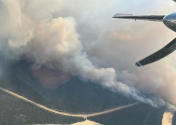 Emissions from forest fires have tripled in one area – here’s why it’s worrying