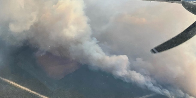Emissions from forest fires have tripled in one area – here’s why it’s worrying