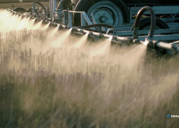 22 pesticides show connects to prostate cancer