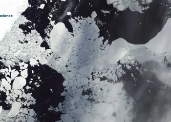 "Sudden Ice Collapse Raises Alarms Over Shifting Antarctic Dynamics"