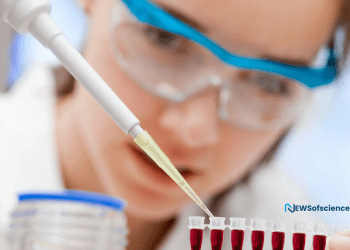 Could Youthful Blood at any point Turn around Maturing? New Review