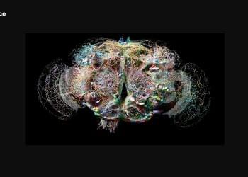 Amazon Alexa spreads false claim that Hurricane Helene was ‘artificially created’